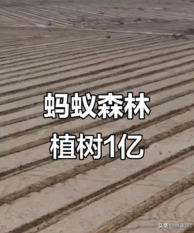 马云现身蚂蚁森林，大口吃西瓜，现场杂草丛生，跟2016年对比明显
