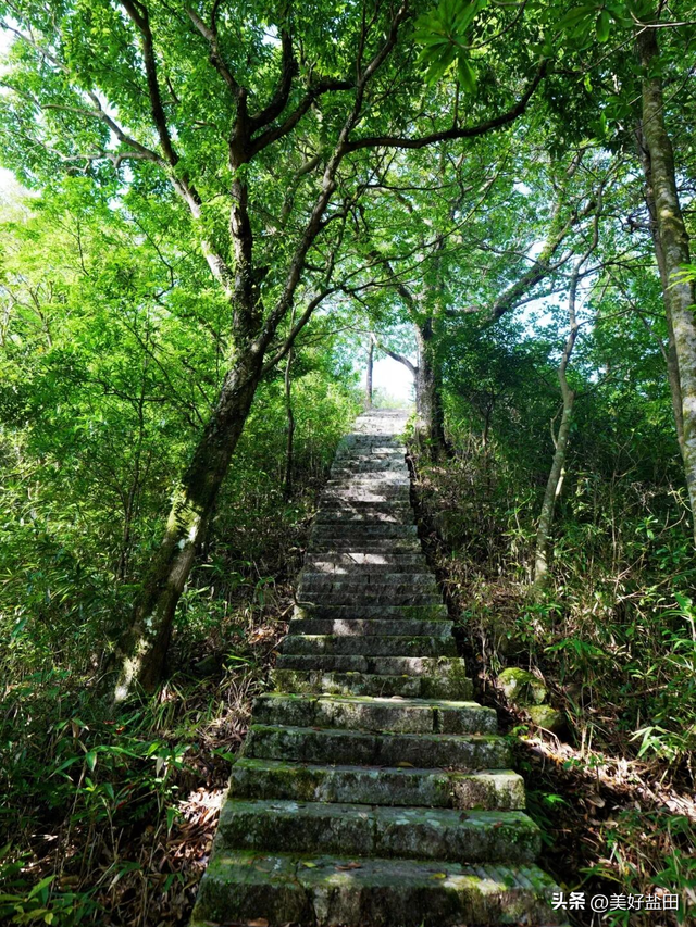 抓住假期的“尾巴”，直奔盐田这些小众宝藏地！