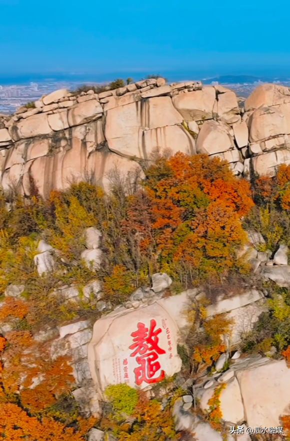 咔嚓🤳！抓住济宁秋天的“小尾巴”~