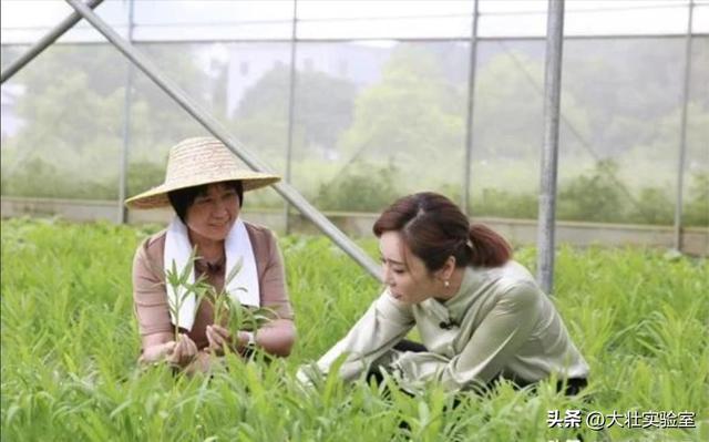 李鹏总理儿媳罕见留影，五官端正长相大气，爷爷功勋卓著比肩元帅