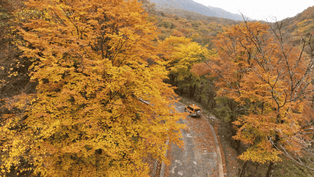 广元旺苍，倒也不必美得如此满分！！！