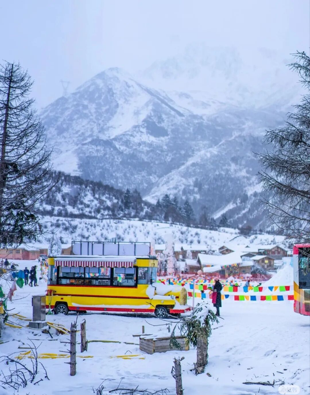 川西冬日快乐一键解锁，我们“鹧”里见~