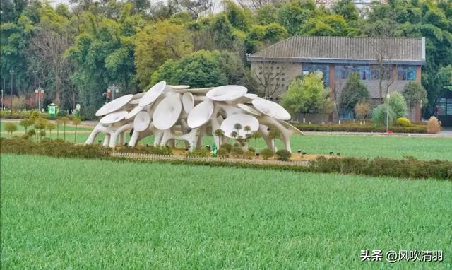 成都西边一个艺术村，73处林盘院落，适合打卡，再现“大地景观”
