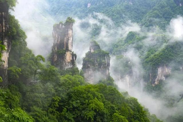 免票！半价！凭电影频道M榜门票，解锁宜昌景区优惠！