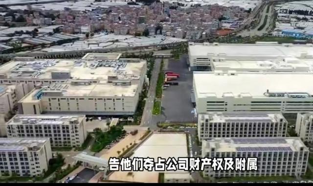 荷兰政府猝不及防，安世中国宣布独立运营后，荷方外交官开始斡旋