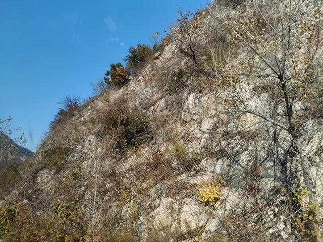 无需去公园，请随着我进山看风景吧