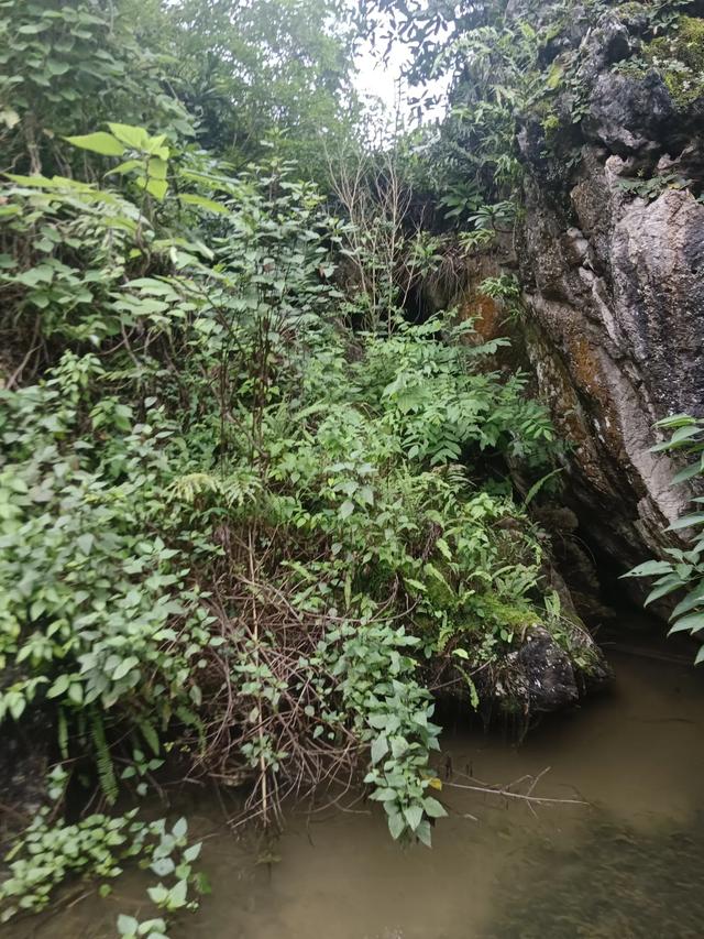 贵州旅游印象(二)