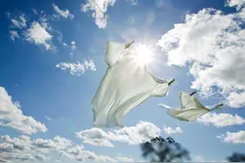 阴干的衣服为什么会有难以名状的臭味？两个方法去除臭味！图片