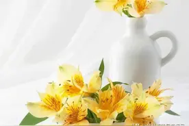 王大娘75岁，钱给了大女儿，吃住在儿子家，天天不满意图片