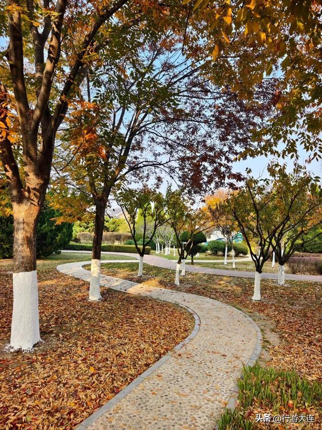 错过等一年~这个周末来这些免费打卡点，拍落叶