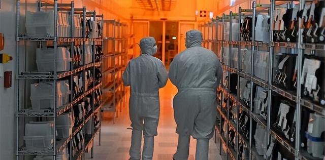 打响独立第1枪，安世中国2封信通告全球，荷兰的天塌了，赶紧求饶