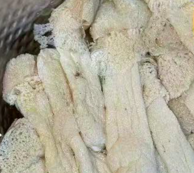秋天，使劲吃这汤，一吃清热、二吃润肺、三吃清热化痰，别不懂吃
