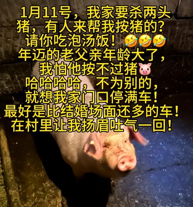 呆呆妹也没想到，杀猪宴收官才1天， 一家人就走上了大衣哥的老路