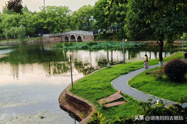 1h车程，带娃在这里挖到“宫崎骏同款夏天”！