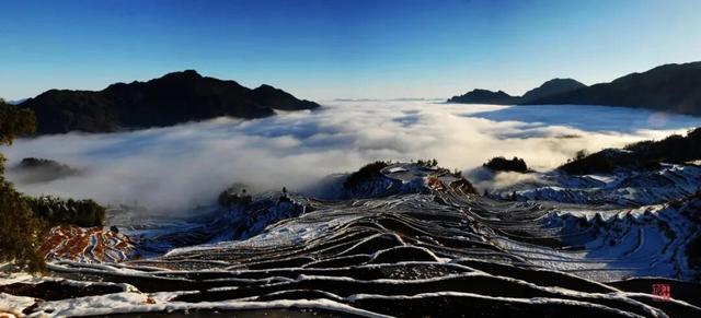 下雪了！下雪了！浙江的第一场雪来了！