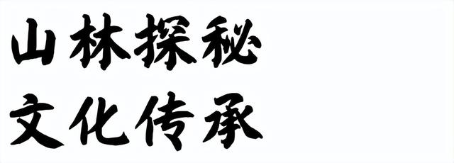 山野拾童趣！带娃来汉中这里，共享秋日亲子好时光~