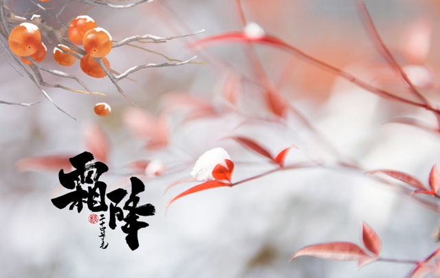 “上午霜降冻死牛，下午霜降暖烘烘”，今年冬天会很冷吗？