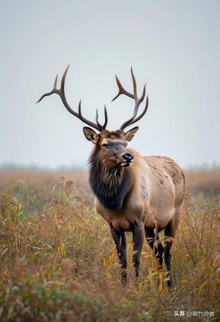 江苏12大5A景区终极考验！去过3个算入门，全去过的是真“大神”