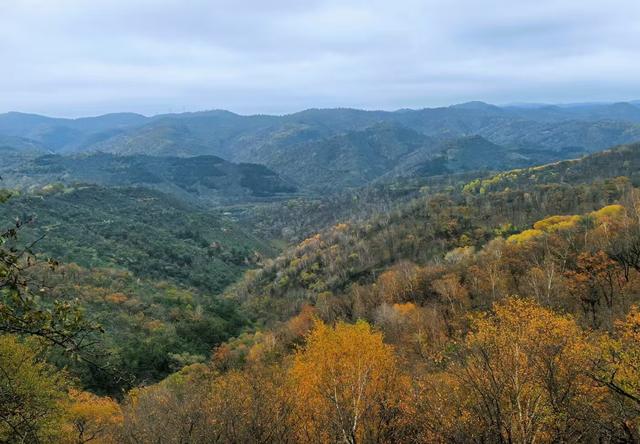 巍巍子午岭，幽幽秦直道