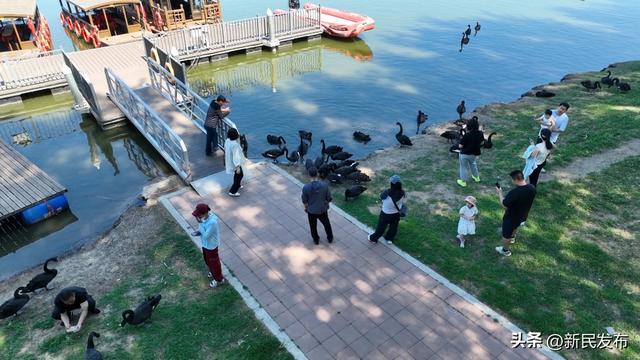 国庆打卡第一站 ：溪溪湖湿地公园生态画卷中的自然景观