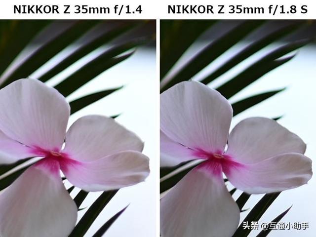 轻松尽享柔和虚化佳作!尼康「NIKKOR Z 35mm f/1.4」评测