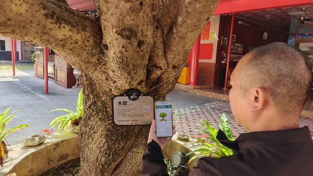 梅州城北富丽堂皇的清代古刹灵鹫寺，成了婚纱艺术摄影网红打卡点