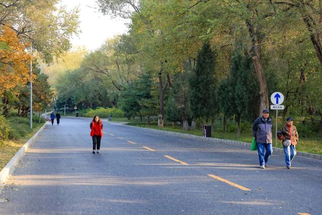 藏不住的惊艳！这座公园正处颜值巅峰