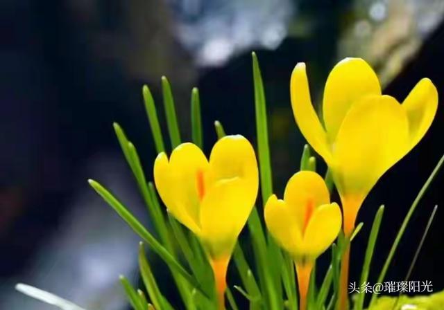 夫妻分房睡，男人忍耐的时间越久，就越能说明一个问题！别不信