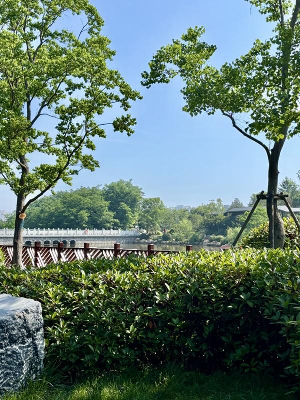 一座藏在青岛主城区内的森林氧吧