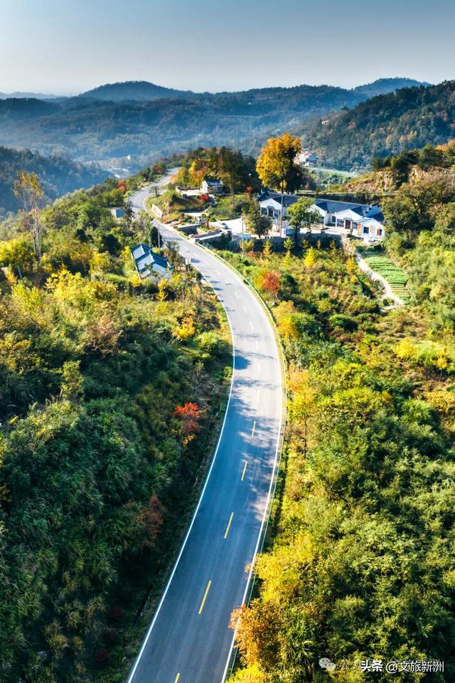 别去日本了！新洲的“同款”风景，美得更懂你