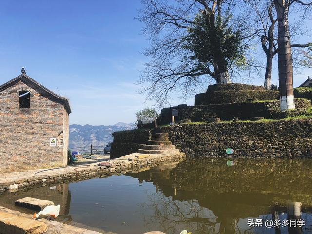 被列入国家非遗的哈尼族“昂玛突”，藏着最朴素的生存哲学