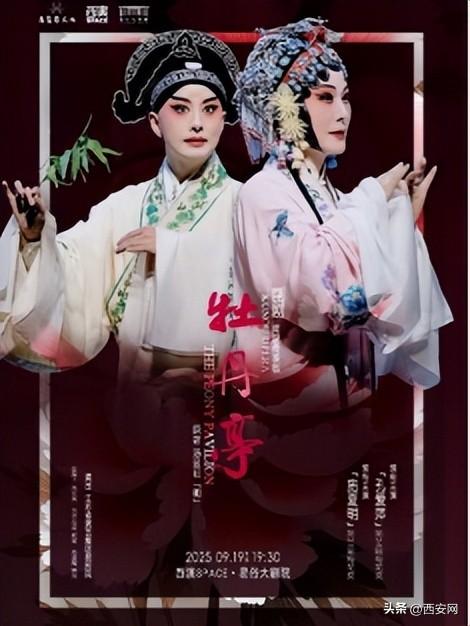 10000张！文化惠民卡即将开抢！