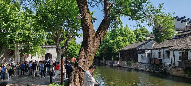 就喜欢你慷慨大方的样子——三访南浔古镇