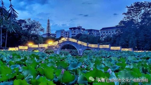 别等空调房！雀儿山公园已备好天然“冷气”~
