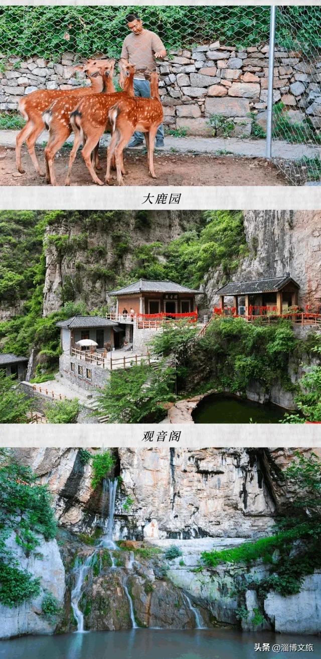 限时2月，门票仅需1.8元！为18岁的TA庆生