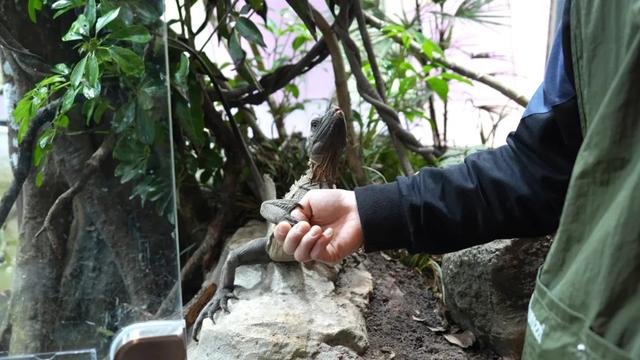 【游在叙州】如何玩透万象宜宾天地？随我来…