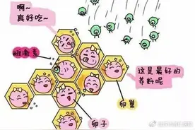 卵泡还没成熟就排了，我该怎么办？图片