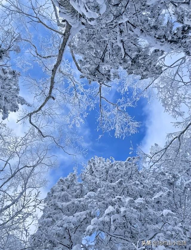 吉林老里克湖打卡攻略 | 走进现实版冰雪童话世界