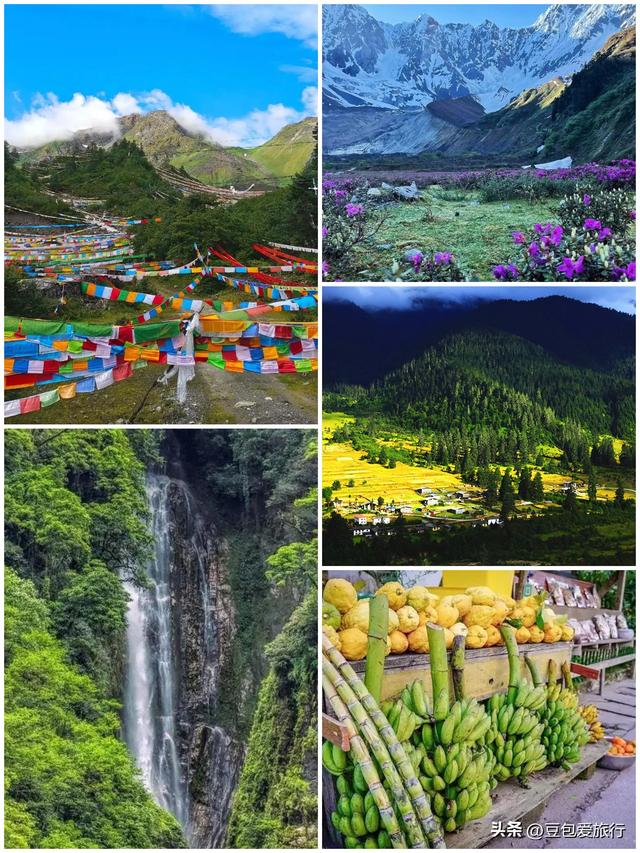 西藏林芝深度游：邂逅雪山桃花与森林的浪漫