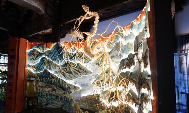 深山藏着的宝藏？舒兰这座博物馆，让你看懂“百草之王”的前世今生