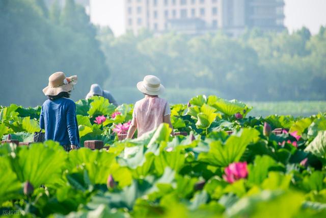山西大范围热浪滚滚，晋南运城临汾冲顶42°C，避暑指望到晋北朔州