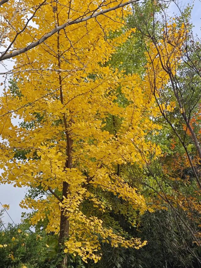 让我再看你一眼🧡