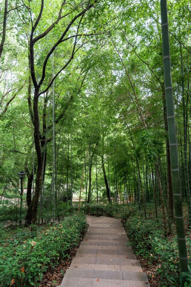 张家港很火的「线路」，后悔没早点去打卡