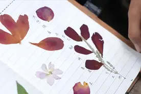 最后一次巡逻，老兵将边防印记封存进日记本图片