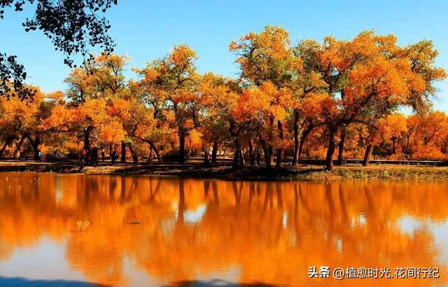 中国这15个地方,去过3个算你牛!去过5个,朋友圈可以横着走。