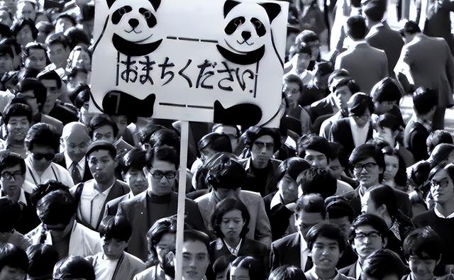 没有回旋余地，中国下令直接收回，17万日本人泪奔，高市闯祸了！