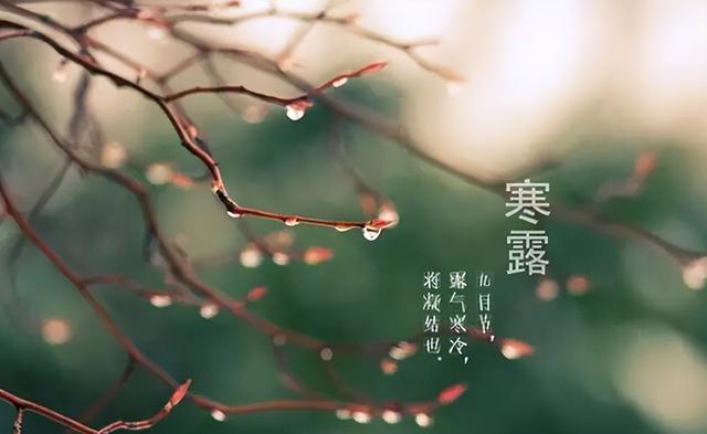 “上午寒露，大雪封门；下午寒露，单衣过冬”，今年寒露马上就到，具体是哪天？