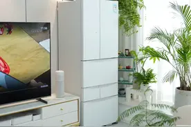 秣马厉兵，“日本家电巨头”东芝逆风翻盘，登上天猫双11品类前五图片