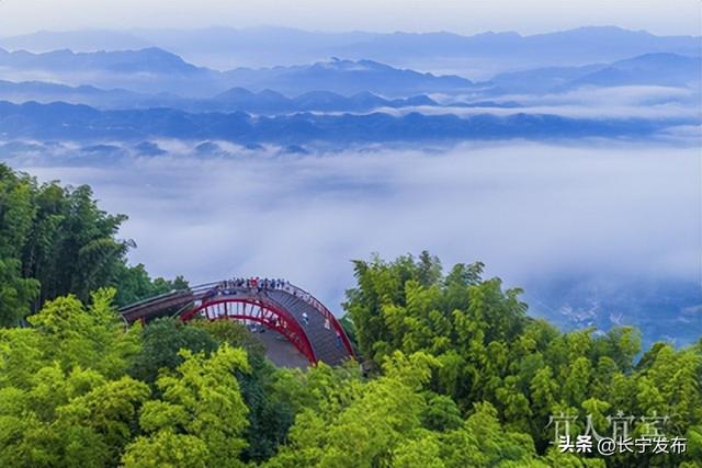 宜人宜宾立即打开区县新“势”调研行丨执“绿”为笔 绘就美丽长宁