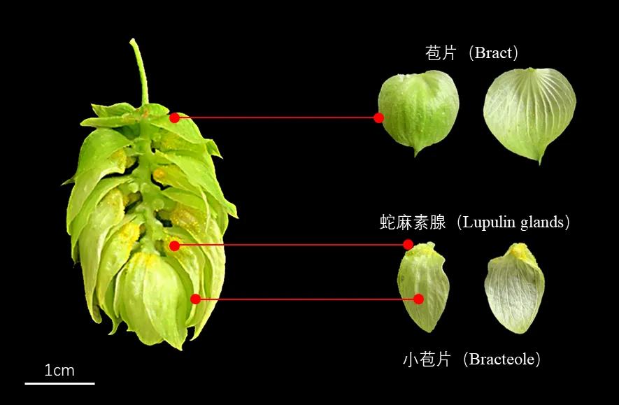 图片关键词 图片关键词